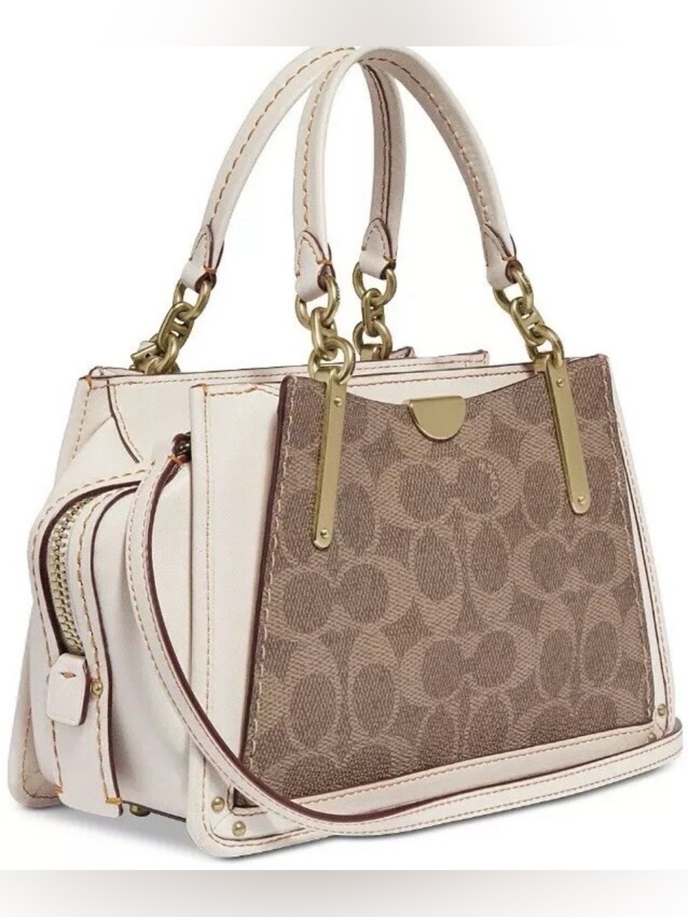 COACH Leather Dreamer